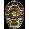 SANTA ANA, CA POLICE DEPARMENT BADGE PIN